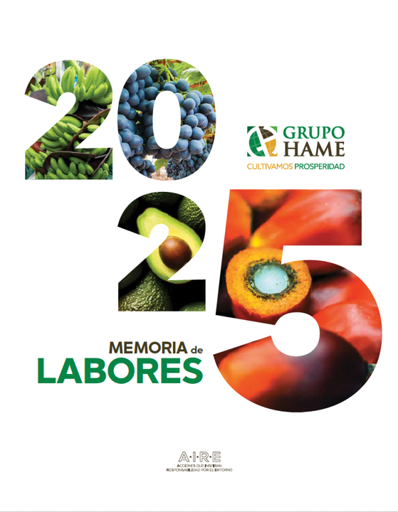 Imagen sobre Memoria de labores